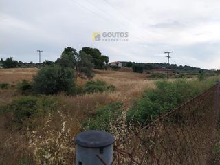 Αγροτεμάχια 21.690 τ.μ. για πώληση, Αργολίδα, Κρανίδι-thumb-18