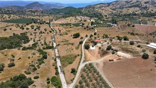 Αγροτεμάχια 21.690 τ.μ. για πώληση, Αργολίδα, Κρανίδι-thumb-11