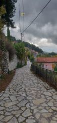 Μονοκατοικία 230,55 τ.μ. πρός πώληση, Αρκαδία, Δημητσάνα-thumb-14
