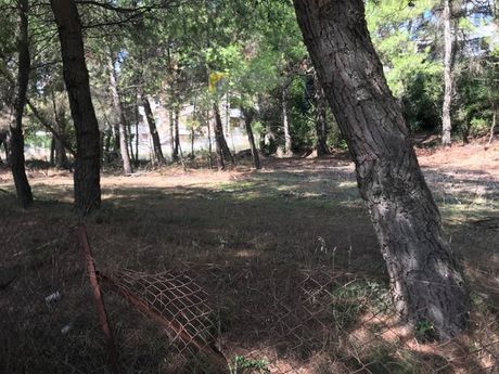 Οικόπεδο 807τ.μ. για πώληση-Διόνυσος