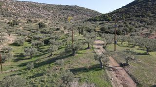 Αγροτεμάχια 140.000 τ.μ. προς πώληση, Κάμπος Κρανιδίου-thumb-24