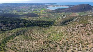 Αγροτεμάχια 140.000 τ.μ. προς πώληση, Κάμπος Κρανιδίου-thumb-9