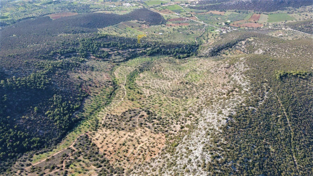 Αγροτεμάχια 140.000 τ.μ. προς πώληση, Κάμπος Κρανιδίου