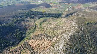 Αγροτεμάχια 140.000 τ.μ. προς πώληση, Κάμπος Κρανιδίου-thumb-4