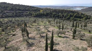 Αγροτεμάχια 140.000 τ.μ. προς πώληση, Κάμπος Κρανιδίου-thumb-17