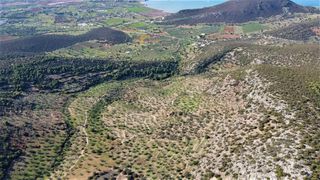 Αγροτεμάχια 140.000 τ.μ. προς πώληση, Κάμπος Κρανιδίου-thumb-7