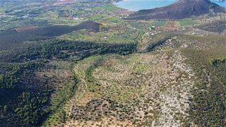 Αγροτεμάχια 140.000 τ.μ. προς πώληση, Κάμπος Κρανιδίου-thumb-6