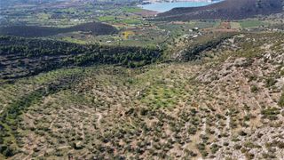 Αγροτεμάχια 140.000 τ.μ. προς πώληση, Κάμπος Κρανιδίου-thumb-8