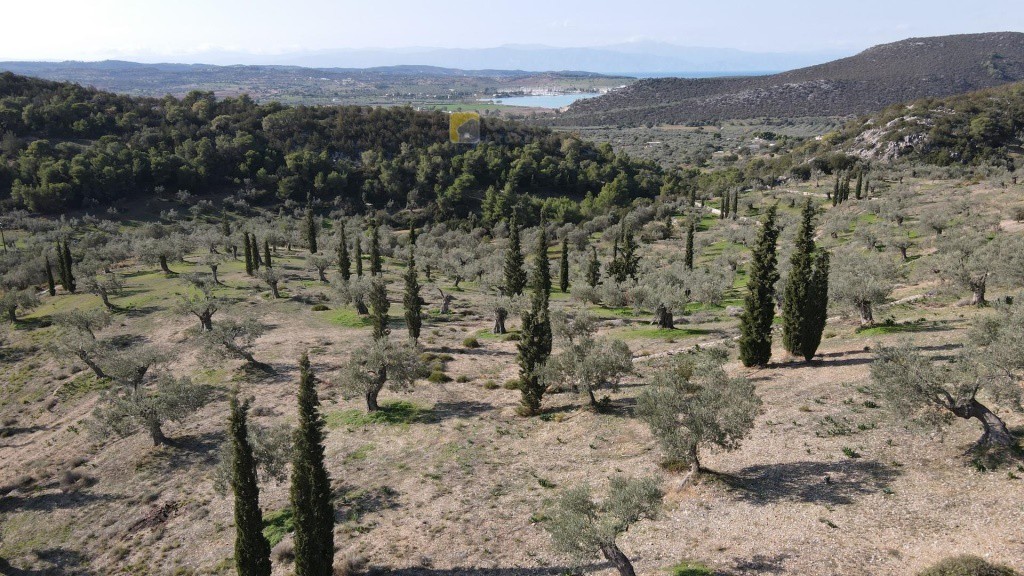 Αγροτεμάχια 140.000 τ.μ. προς πώληση, Κάμπος Κρανιδίου
