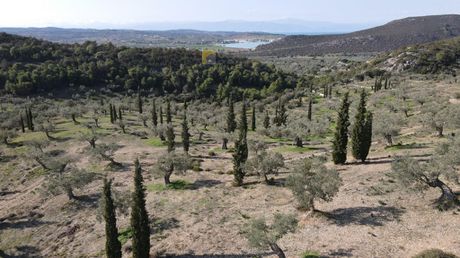Αγροτεμάχια 140.000τ.μ. για πώληση-Κρανίδι