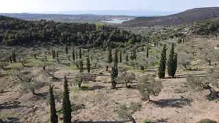 Αγροτεμάχια 140.000 τ.μ. για πώληση