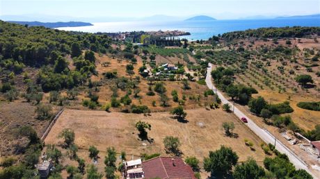 Οικόπεδο 4.017τ.μ. για πώληση-Κρανίδι
