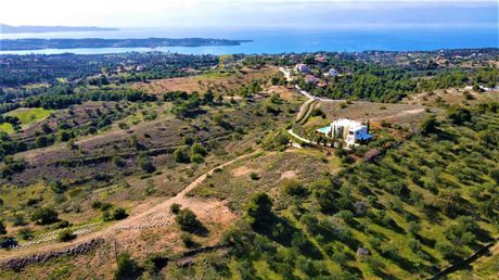 Οικόπεδο 4.000τ.μ. για πώληση-Κρανίδι