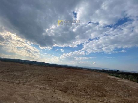Αγροτεμάχια 28.000τ.μ. για πώληση-Βόχα
