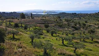Οικόπεδο 52.000 τ.μ. για πώληση, Αργολίδα, Κρανίδι-thumb-4