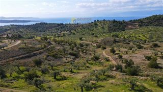 Οικόπεδο 52.000 τ.μ. για πώληση, Αργολίδα, Κρανίδι-thumb-14