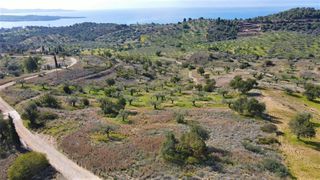 Οικόπεδο 52.000 τ.μ. για πώληση, Αργολίδα, Κρανίδι-thumb-22