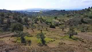 Οικόπεδο 52.000 τ.μ. για πώληση, Αργολίδα, Κρανίδι-thumb-2
