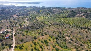 Οικόπεδο 52.000 τ.μ. για πώληση, Αργολίδα, Κρανίδι-thumb-15