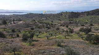 Οικόπεδο 52.000 τ.μ. για πώληση, Αργολίδα, Κρανίδι-thumb-13