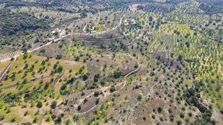 Οικόπεδο 52.000 τ.μ. για πώληση, Αργολίδα, Κρανίδι-thumb-17