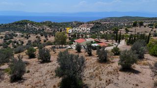 Οικόπεδο 8.000 τ.μ. για πώληση, Αργολίδα, Κρανίδι-thumb-4