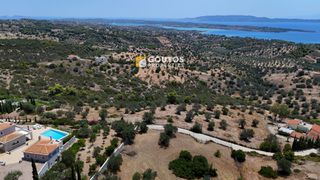 Οικόπεδο 8.000 τ.μ. για πώληση, Αργολίδα, Κρανίδι-thumb-11