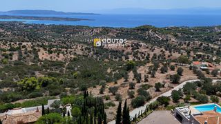 Οικόπεδο 8.000 τ.μ. για πώληση, Αργολίδα, Κρανίδι-thumb-9