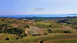 Οικόπεδο 30.072 τ.μ. για πώληση, Αργολίδα, Κρανίδι-thumb-20