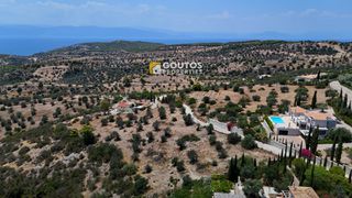Οικόπεδο 4.000 τ.μ. για πώληση, Αργολίδα, Κρανίδι-thumb-10