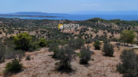 Οικόπεδο 4.000τ.μ. για πώληση-Κρανίδι