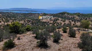 Οικόπεδο 4.000 τ.μ. για πώληση