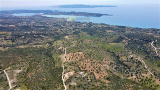 Οικόπεδο 4.000 τ.μ. για πώληση, Αργολίδα, Κρανίδι-thumb-8