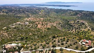 Οικόπεδο 4.000 τ.μ. για πώληση, Αργολίδα, Κρανίδι-thumb-10