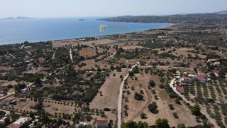 Αγροτεμάχια 12.000 τ.μ. πρός πώληση, Αργολίδα, Κρανίδι-thumb-5