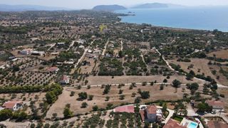 Αγροτεμάχια 12.000 τ.μ. πρός πώληση, Αργολίδα, Κρανίδι-thumb-9