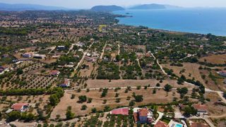 Αγροτεμάχια 12.000 τ.μ. πρός πώληση, Αργολίδα, Κρανίδι-thumb-8