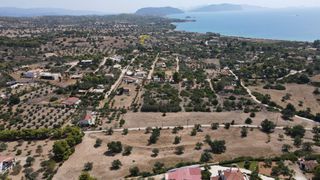 Αγροτεμάχια 12.000 τ.μ. πρός πώληση, Αργολίδα, Κρανίδι-thumb-10