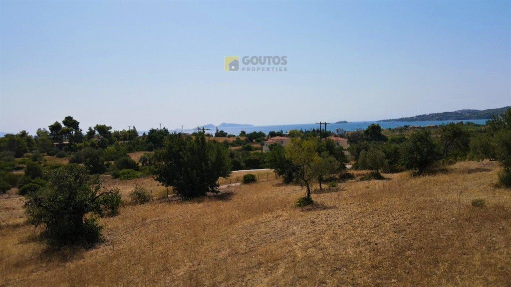 Αγροτεμάχια 12.000 τ.μ. πρός πώληση, Αργολίδα, Κρανίδι