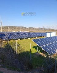 Αγροτεμάχια 5.250 τ.μ. για πώληση