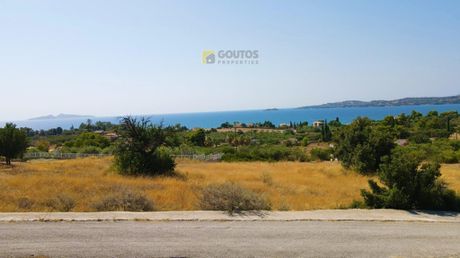Αγροτεμάχια 9.000τ.μ. για πώληση-Κρανίδι