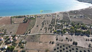 Οικόπεδο 14.000 τ.μ. για πώληση, Αργολίδα, Κρανίδι-thumb-19