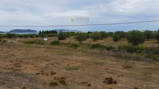 Οικόπεδο 14.000 τ.μ. για πώληση, Αργολίδα, Κρανίδι-thumb-8