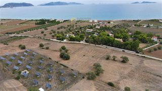 Οικόπεδο 14.000 τ.μ. για πώληση, Αργολίδα, Κρανίδι-thumb-7