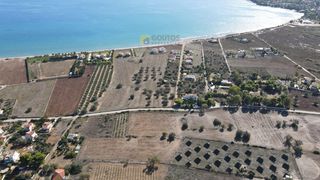 Οικόπεδο 14.000 τ.μ. για πώληση, Αργολίδα, Κρανίδι-thumb-20