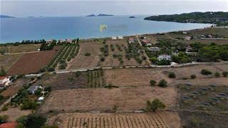 Οικόπεδο 14.000 τ.μ. για πώληση, Αργολίδα, Κρανίδι-thumb-18