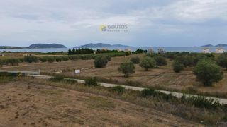 Οικόπεδο 14.000 τ.μ. για πώληση, Αργολίδα, Κρανίδι-thumb-14