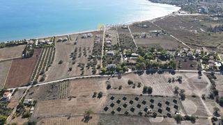 Οικόπεδο 14.000 τ.μ. για πώληση, Αργολίδα, Κρανίδι-thumb-21