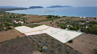 Οικόπεδο 14.000 τ.μ. για πώληση