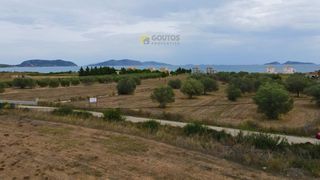 Οικόπεδο 14.000 τ.μ. για πώληση, Αργολίδα, Κρανίδι-thumb-12